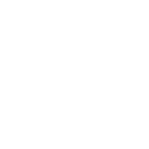 coin badge