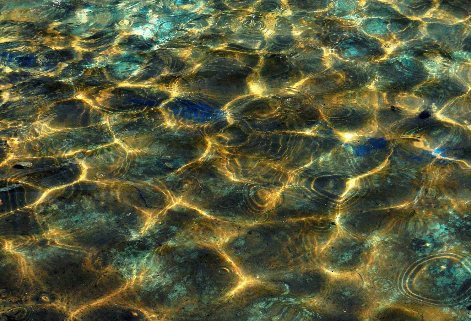 ocean water why choose ease crib blog